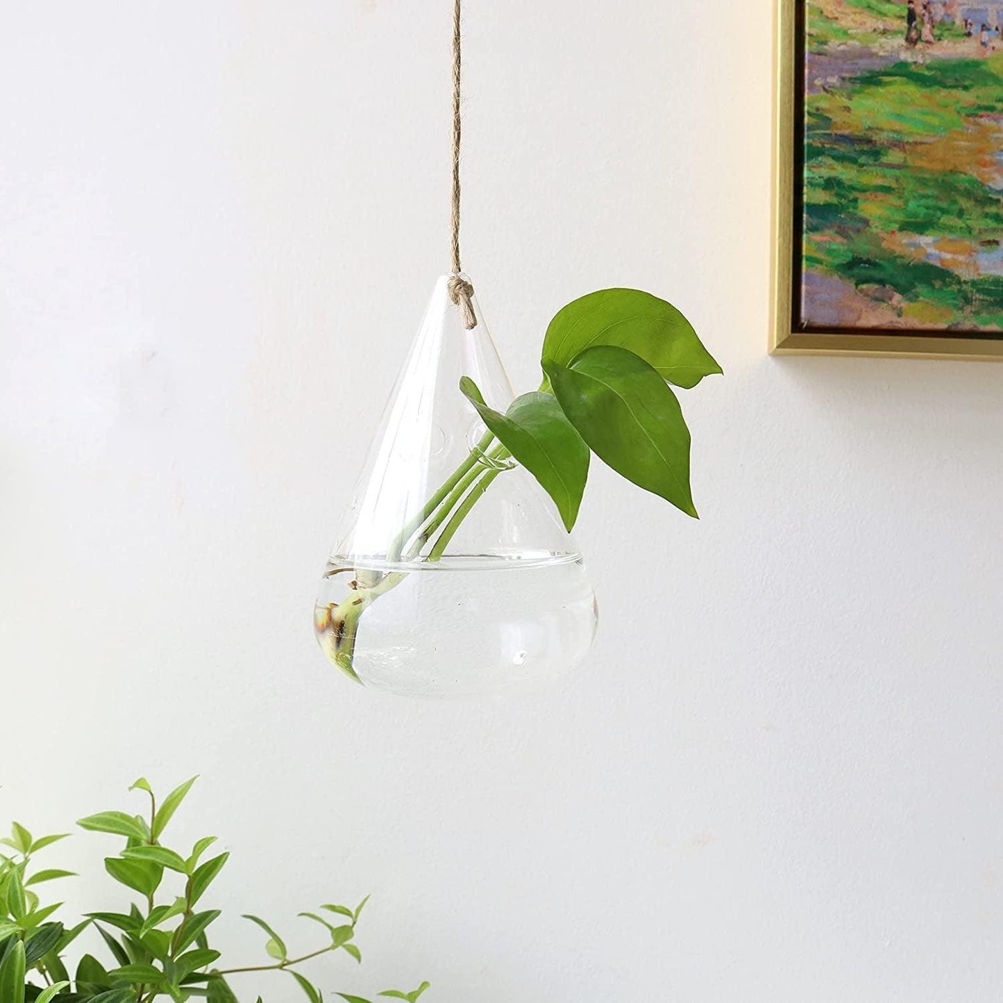 Glass Hanging Terrarium Vases
