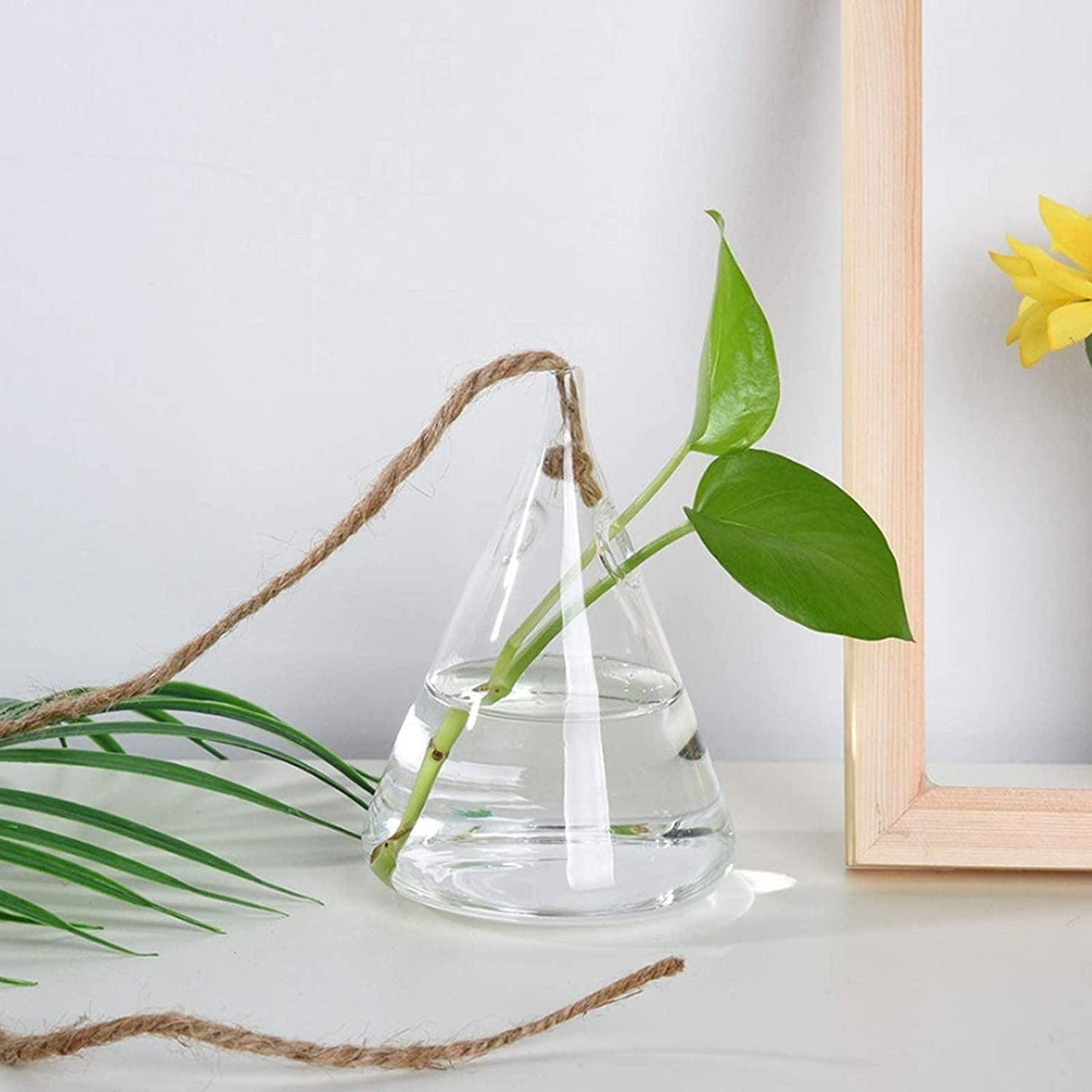 Glass Hanging Terrarium Vases