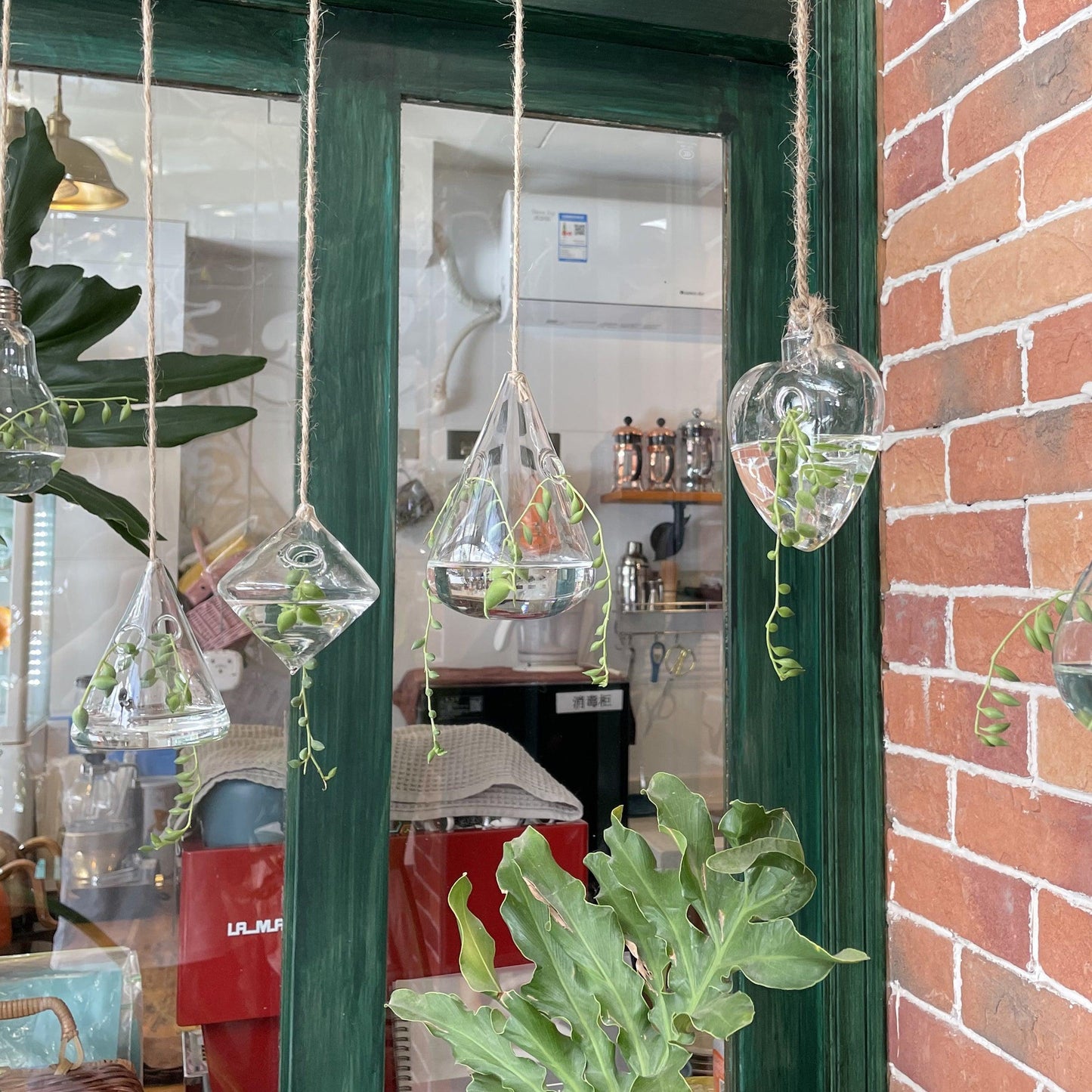 Glass Hanging Terrarium Vases