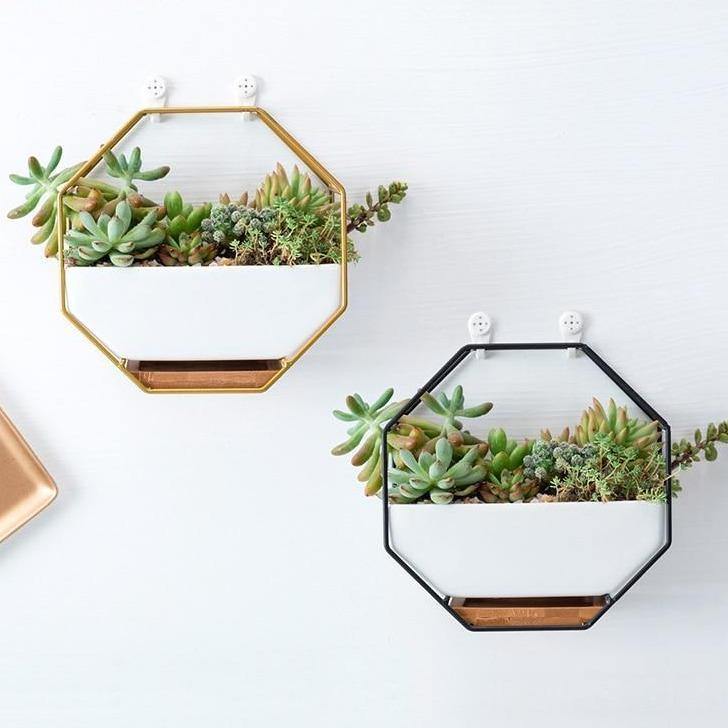 ceramic wall mounted plant pots Geometric Ceramic Wall Planter with Octagonal Iron Frame – bohostylish