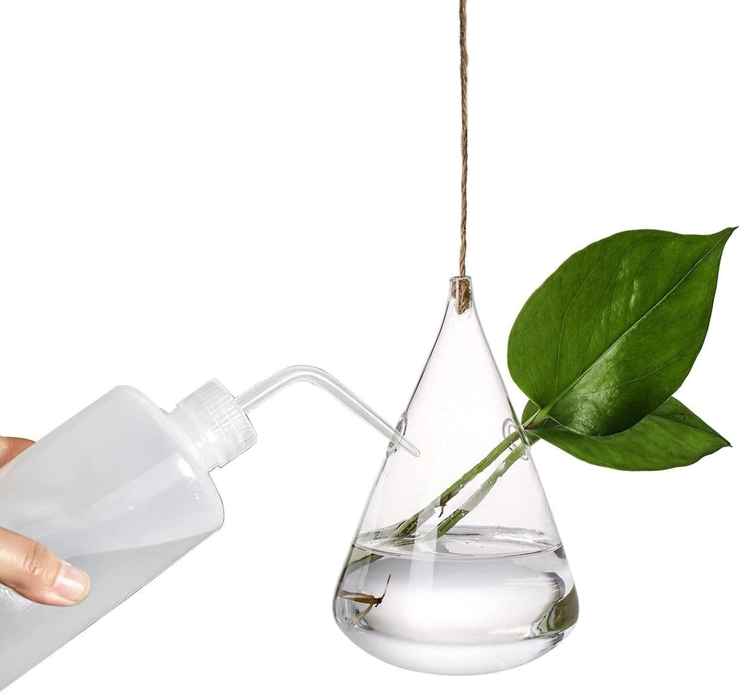 Glass Hanging Terrarium Vases