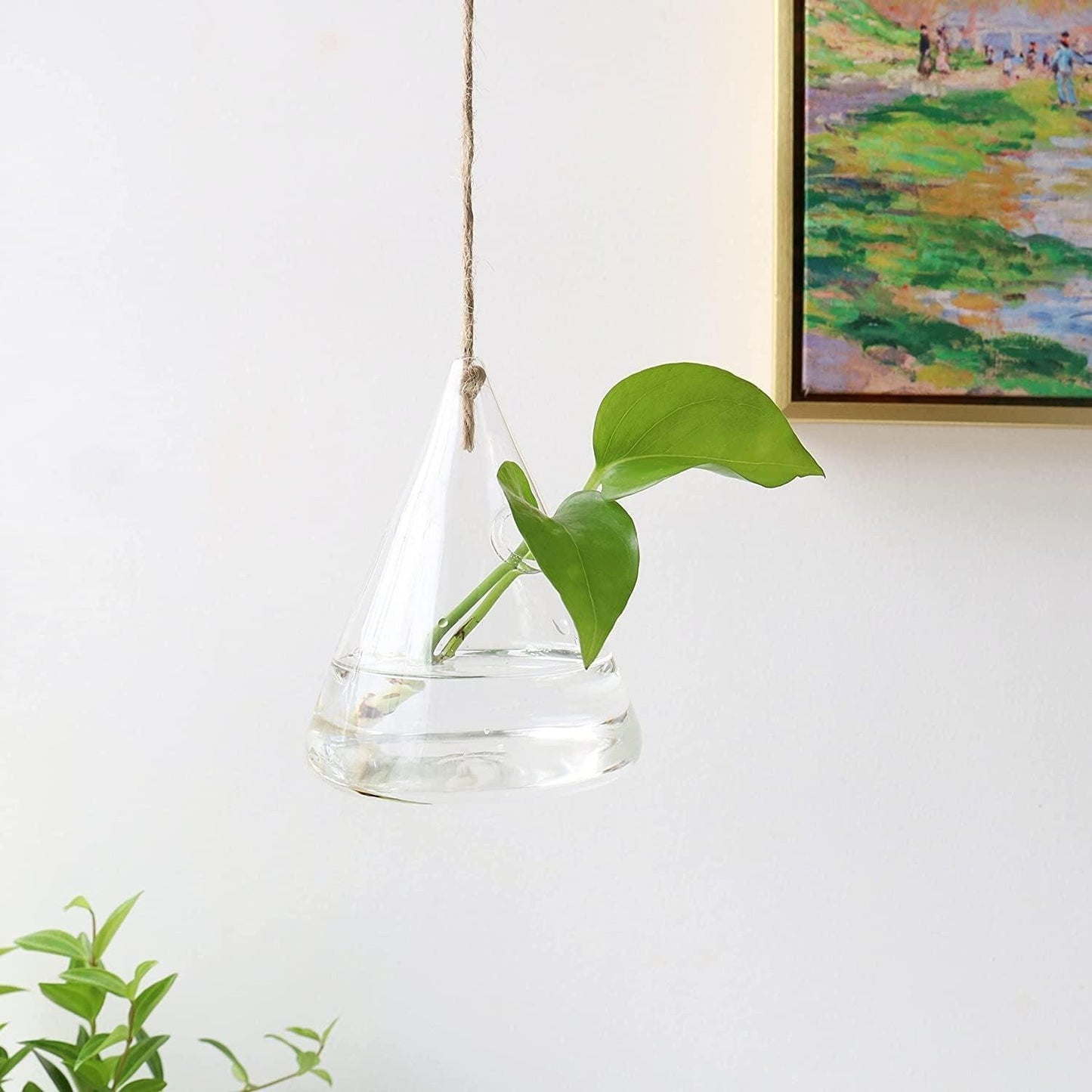Glass Hanging Terrarium Vases