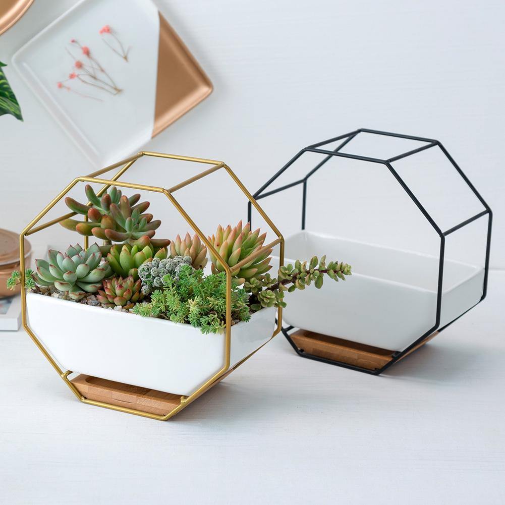 geometric wall plant hanger Geometric Ceramic Wall Planter with Octagonal Iron Frame – bohostylish