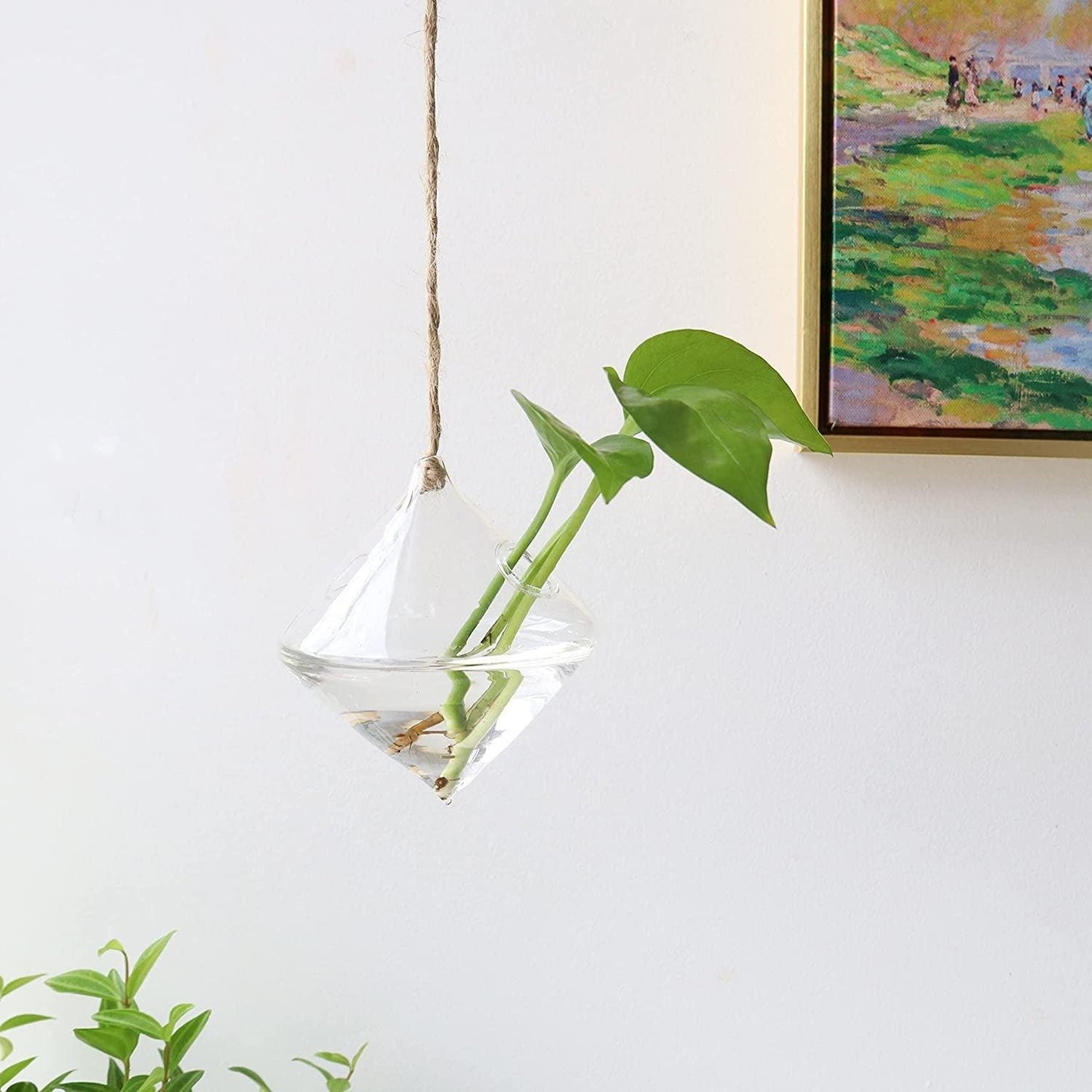 Glass Hanging Terrarium Vases