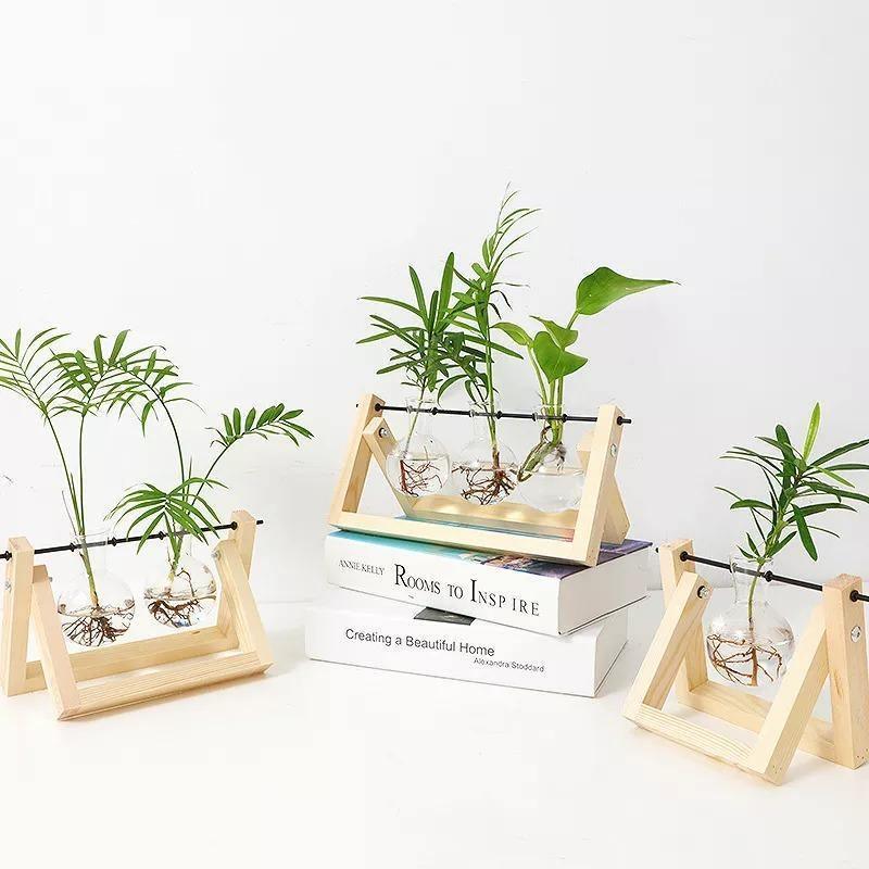 EcoGrow