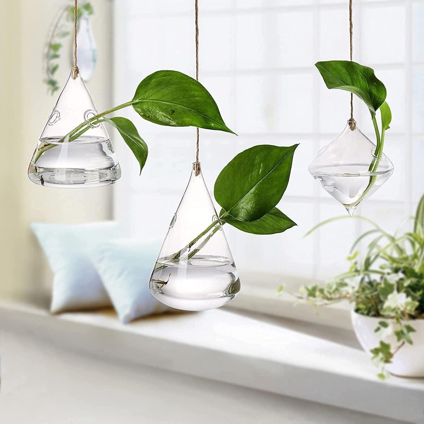 Glass Hanging Terrarium Vases